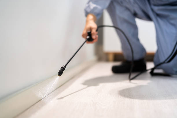 Licensed Pest Control service in Ellicott City, MD - Show Me Pest Control