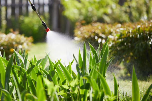 24/7 Emergency Mosquito Control experts in Ellicott City, MD
