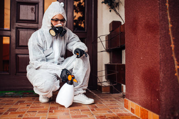 Reliable Mosquito Control contractor in Ellicott City, MD by Show Me Pest Control
