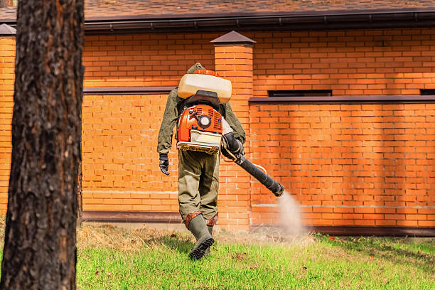 Top rated local Mosquito Control specialists in Ellicott City, MD